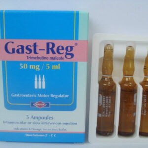 GAST REG 3 AMP