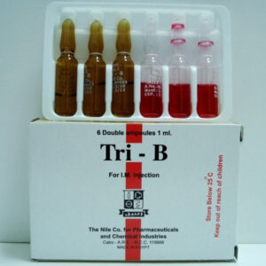 TRI B 6 AMP