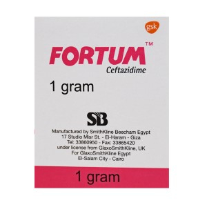 FORTUM 1 GM VIAL